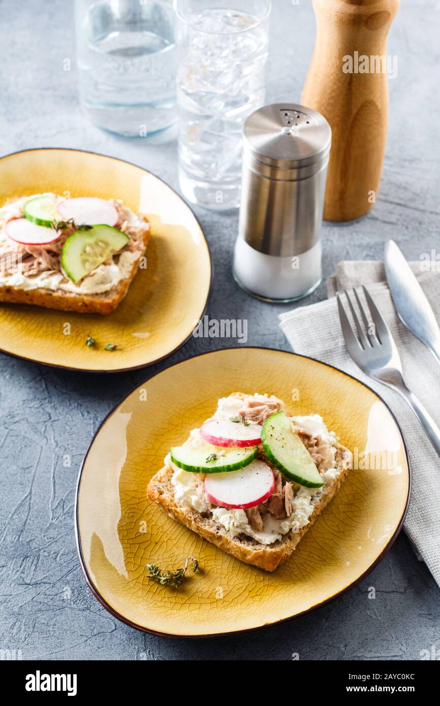 Lecker Thunfisch Sandwich, serviert mit Radieschen und Gurken Stockfoto