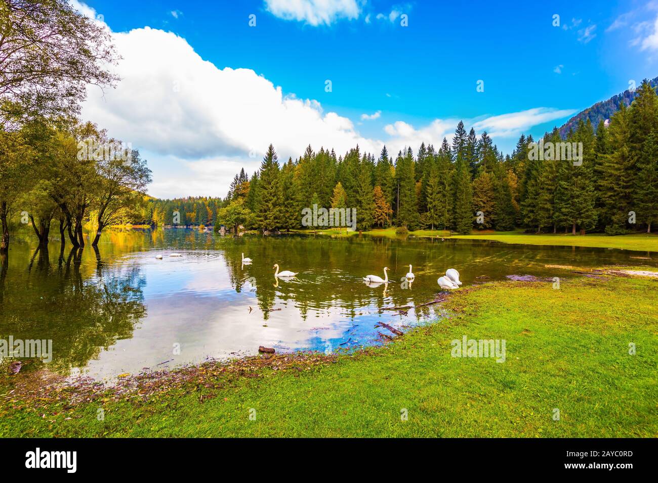 Wundervolle Ruhe in wunderschöner Natur Stockfoto