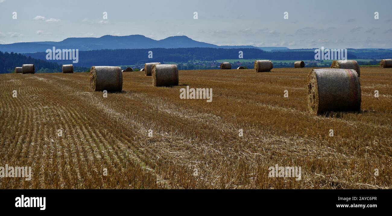 Strohballen auf geerntetem Getreidefeld Stockfoto