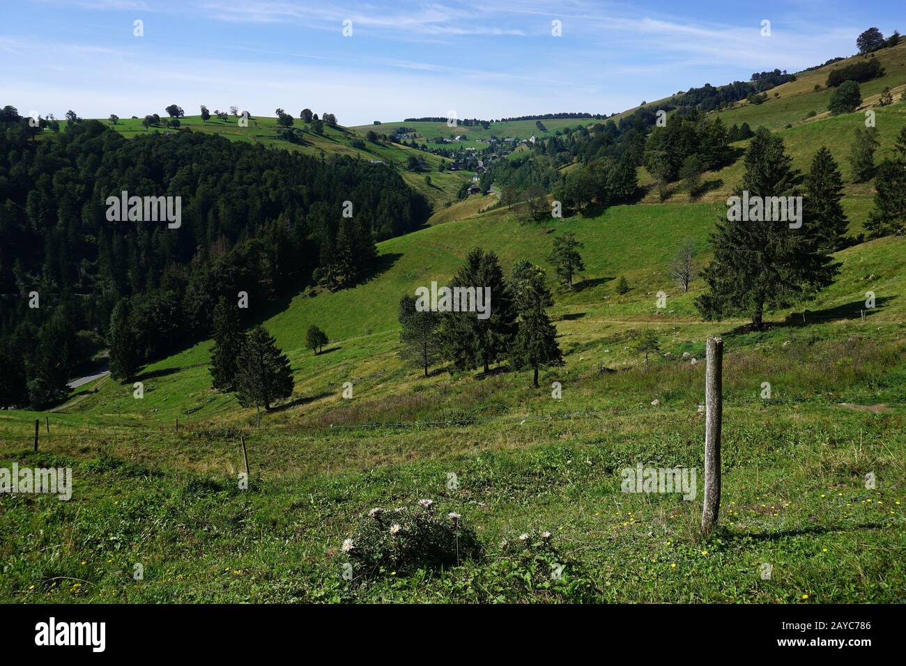 Wandern in der Nähe des Berges Schauinsland im Schwarzwald, Deutschland Stockfoto