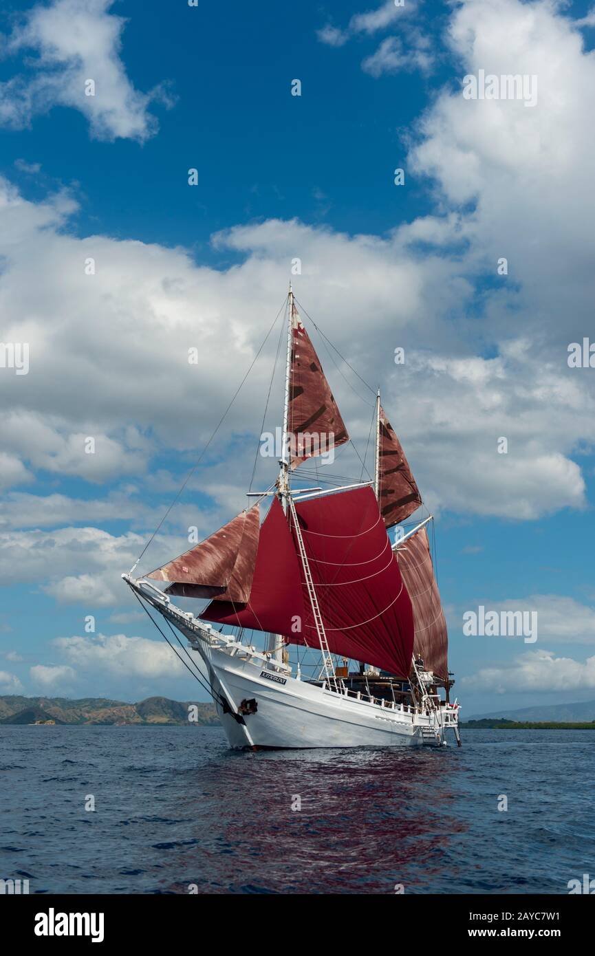 Der MSV Katharina, ein 38 Meter langes Holzpinisi-Schiff (ein traditionelles indonesisches Segelschiff), unter Segeln in der Nähe der Komodo-Insel, Indonesien. Stockfoto