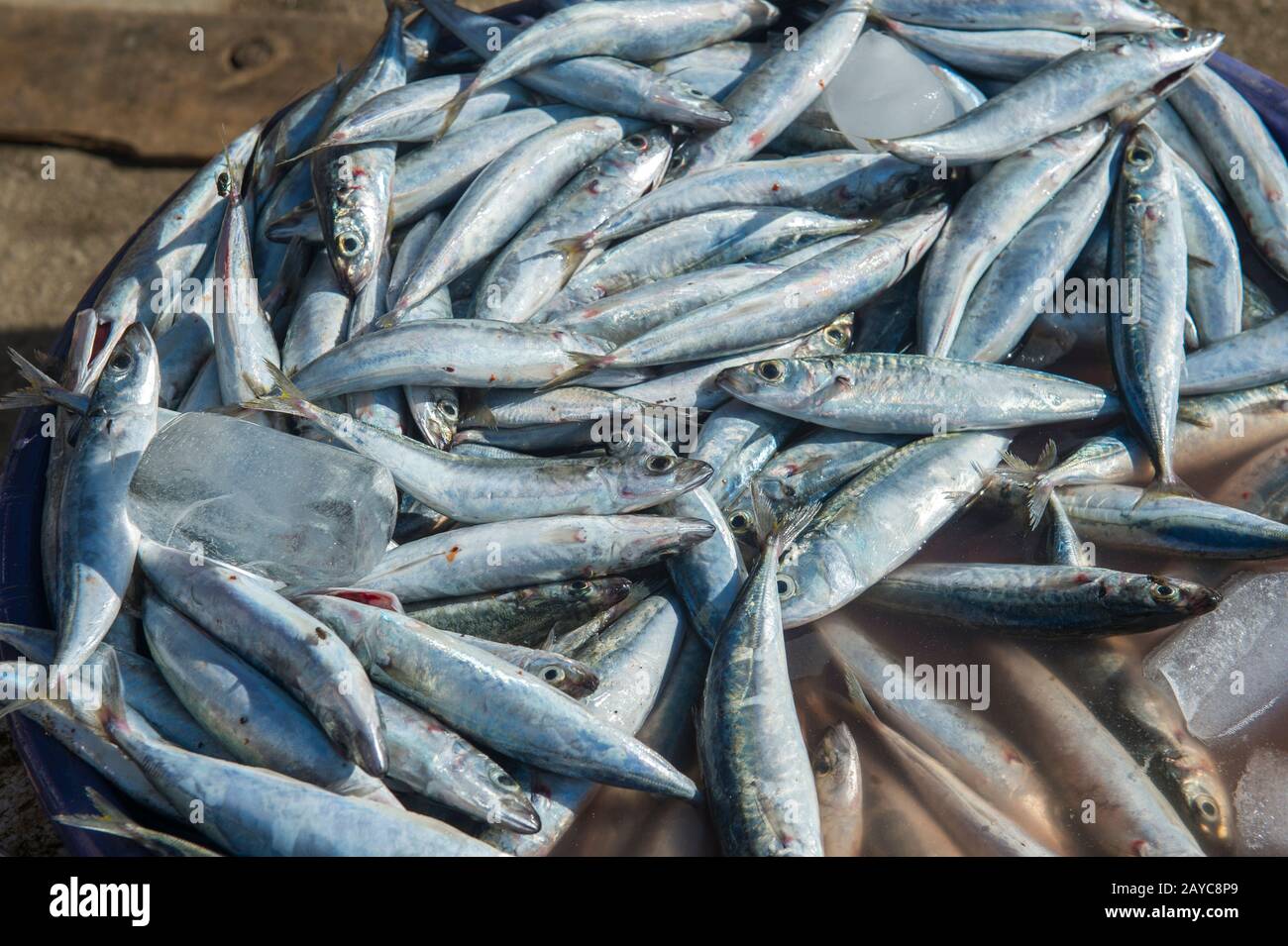 Eine Marktszene mit frischem Fisch zum Verkauf auf dem Markt in Labuan Bajo, einer Fischerstadt am westlichen Ende der großen Insel Flores in der N Stockfoto