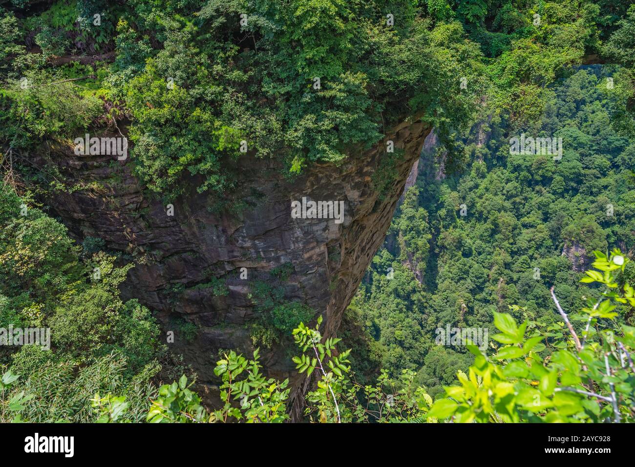 Atemberaubende Gebirgsformationen in Zhangjiajie Stockfoto