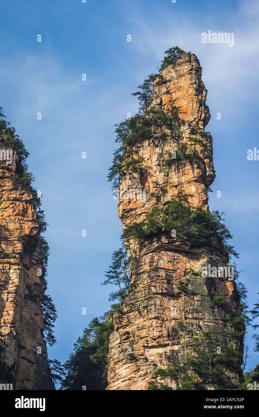 Steinsäule in den Bergen von Zhangjiajie Tianzi Stockfoto