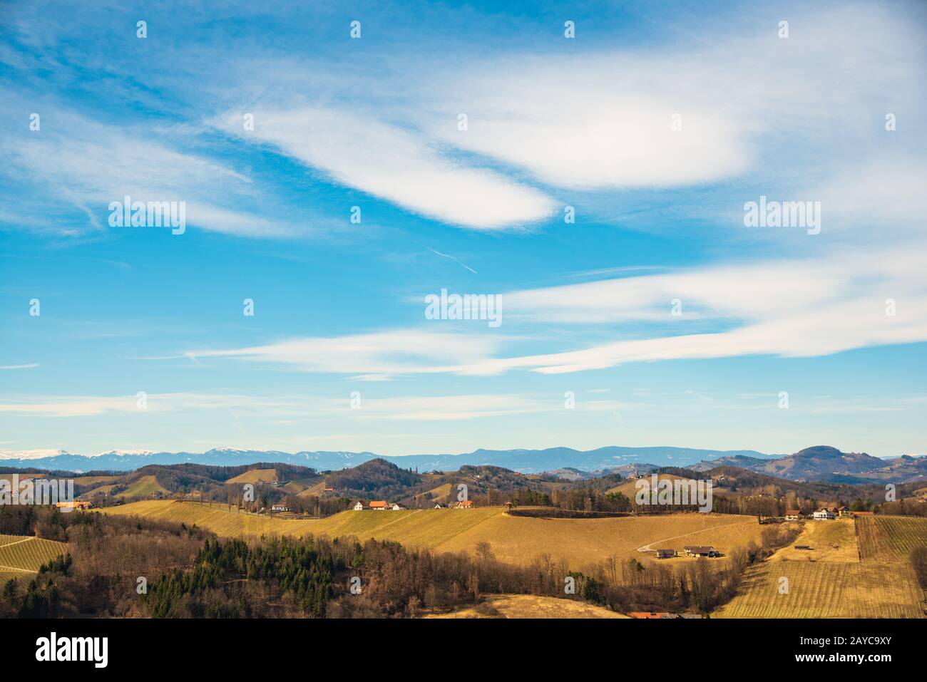 Blick auf Weinberge. Leibnitz Gebiet südlich Steiermark Ort Stockfoto