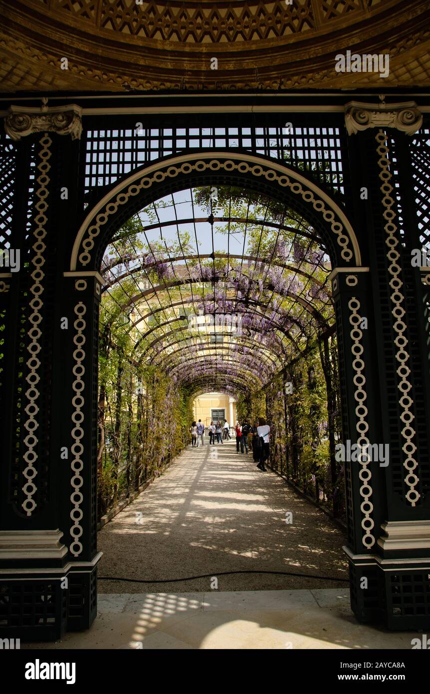 Palast und gärten von schönbrunn Fotos und Bildmaterial in hoher