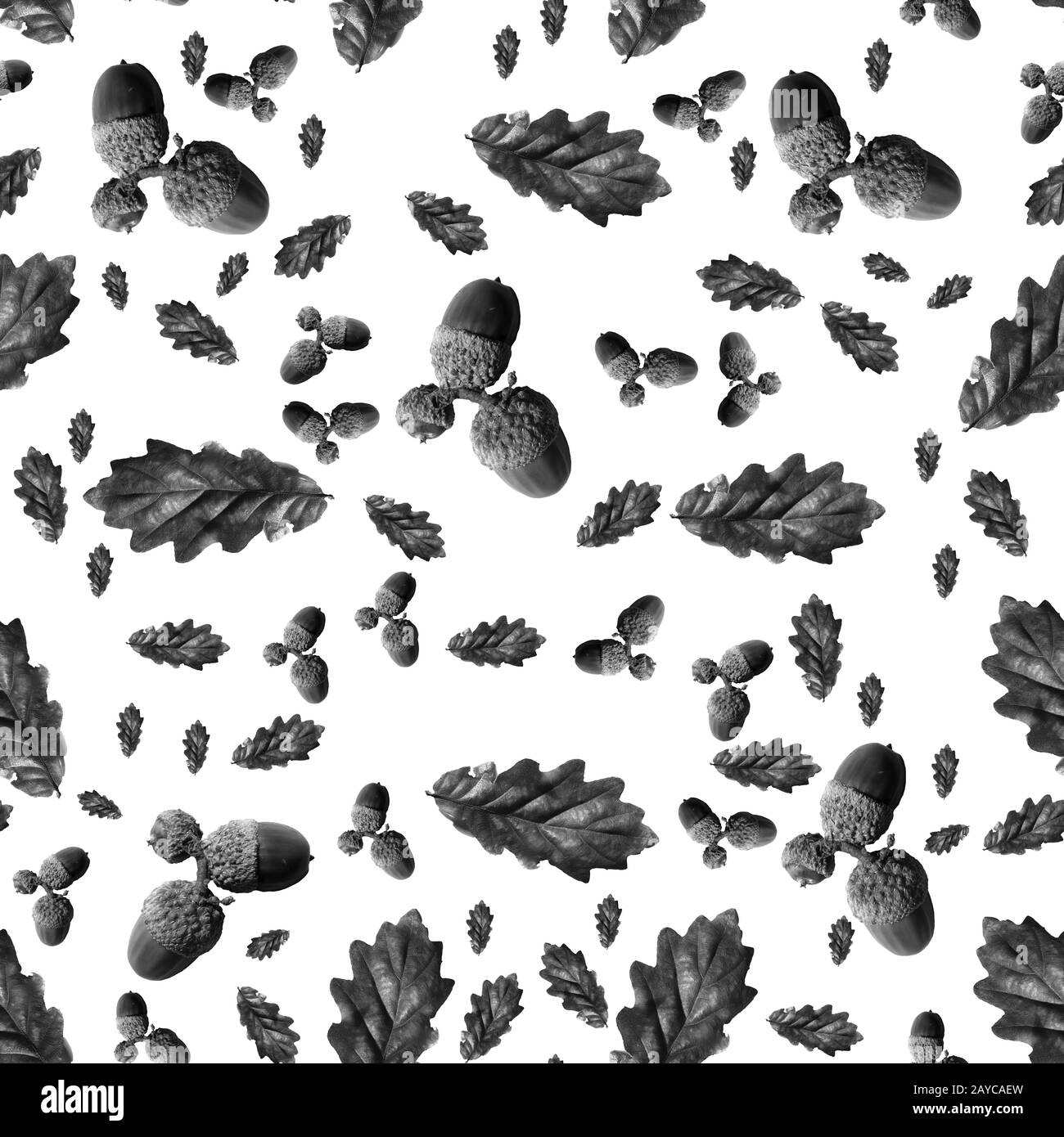 Schwarz-weißes Schwarzweiß-Blatt aus Eiche und Akornen, wiederholtes Muster Stockfoto