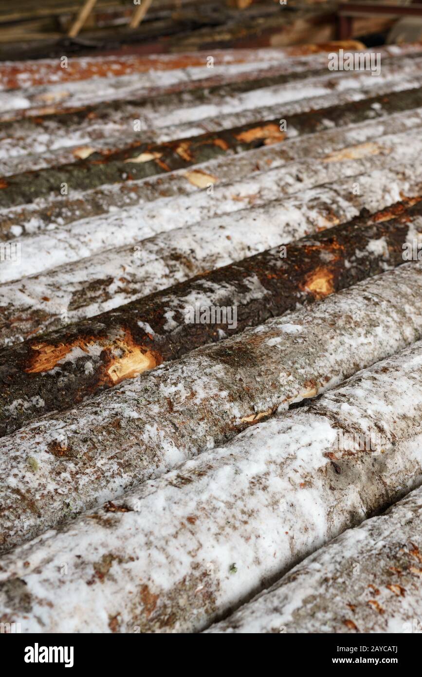 Verschneite Protokolle liegen in Reihe am Sägewerk Stockfoto