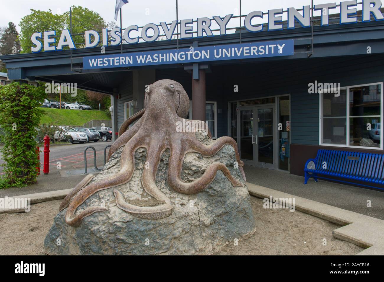 Eine riesige Tintenstatue vor dem SEA Discovery Center, einem öffentlichen Aquarium, in der Stadt Poulsbo im skandinavischen Stil im Kitsap County im US-Bundesstaat Washington Stockfoto