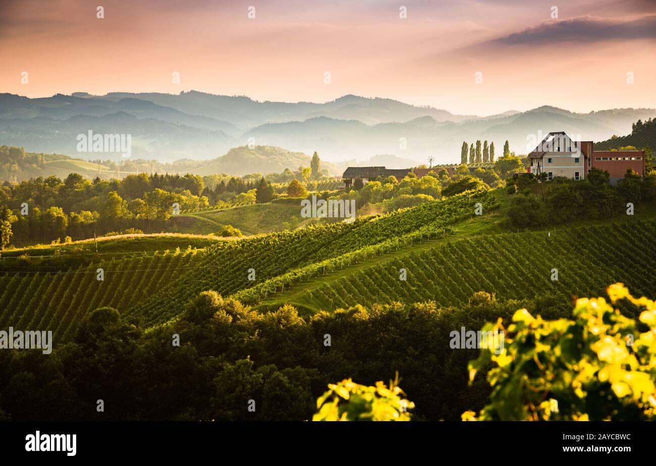 Blick von der berühmten Weinstraße in der südsteiria, Österreich auf der toskana wie Weinberge Stockfoto