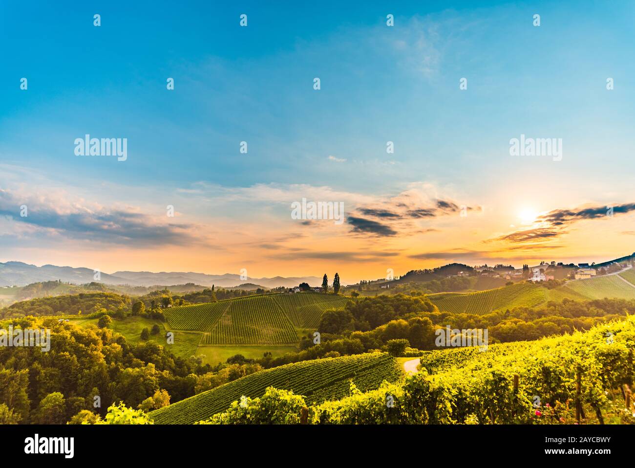 Blick von der berühmten Weinstraße in der südsteiria, Österreich in der toskana wie Weinberge Stockfoto