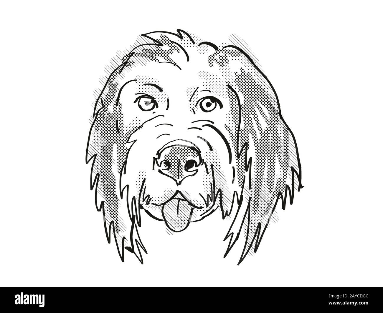 Bernedoodle oder Berner Mountain Poo Dog züchten Cartoon Retro Drawing Stockfoto