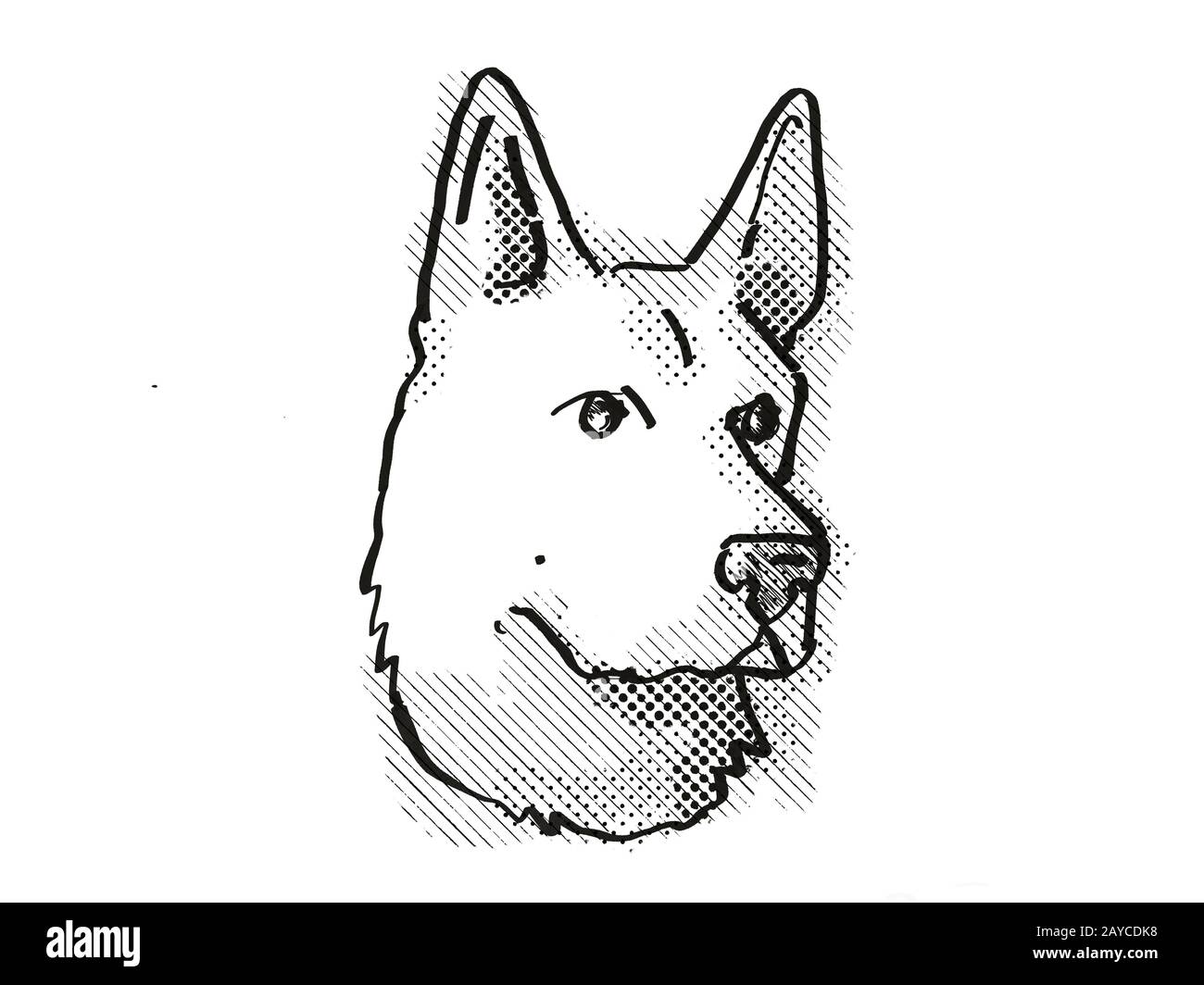 Deutscher Schäferhund Züchtet Cartoon Retro Zeichnen Stockfoto