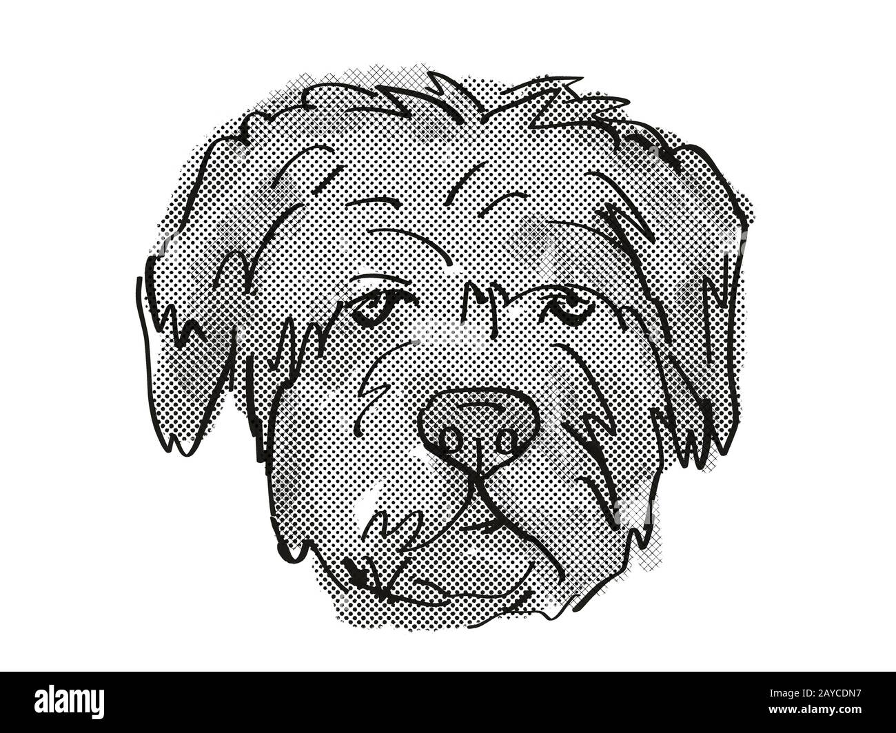 Bouvier des Flandres Dog züchtet Cartoon Retro Zeichnen Stockfoto