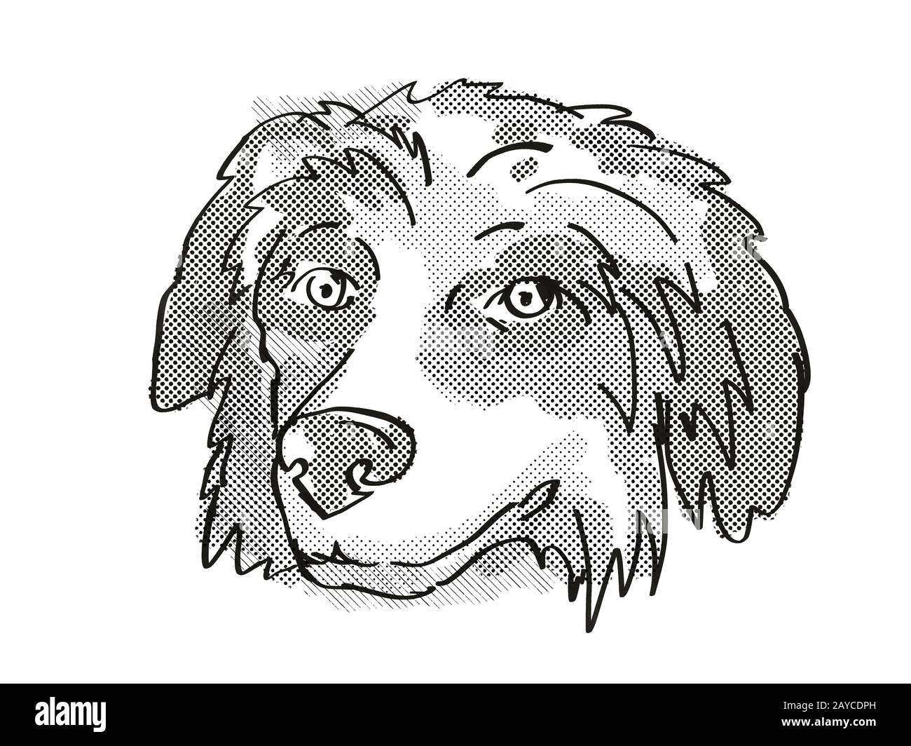 Berner Mountain Dog Züchtet Cartoon Retro Drawing Stockfoto
