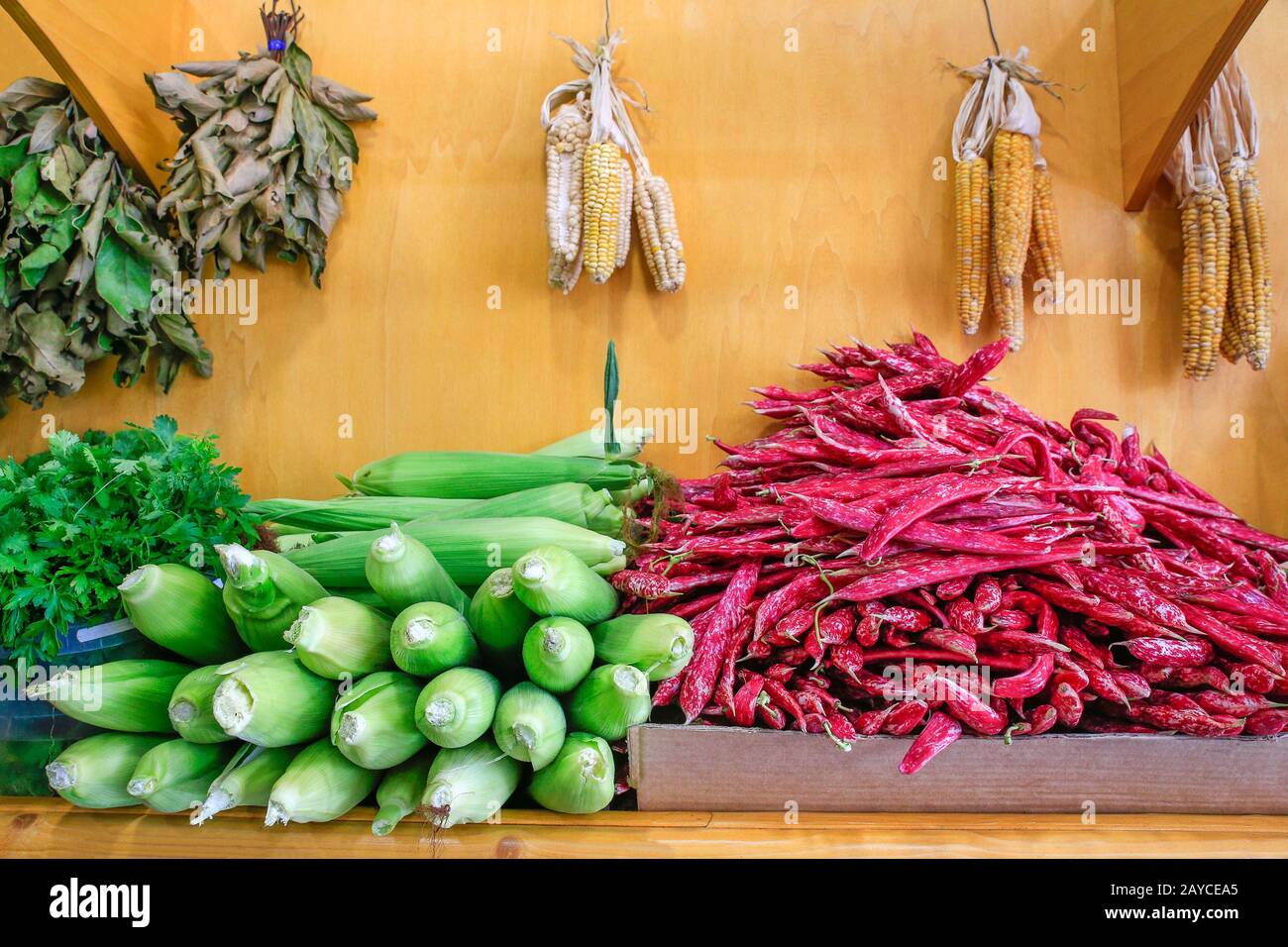 Rote Borletto Bohnen und Maiskolben auf dem Markt Stockfoto