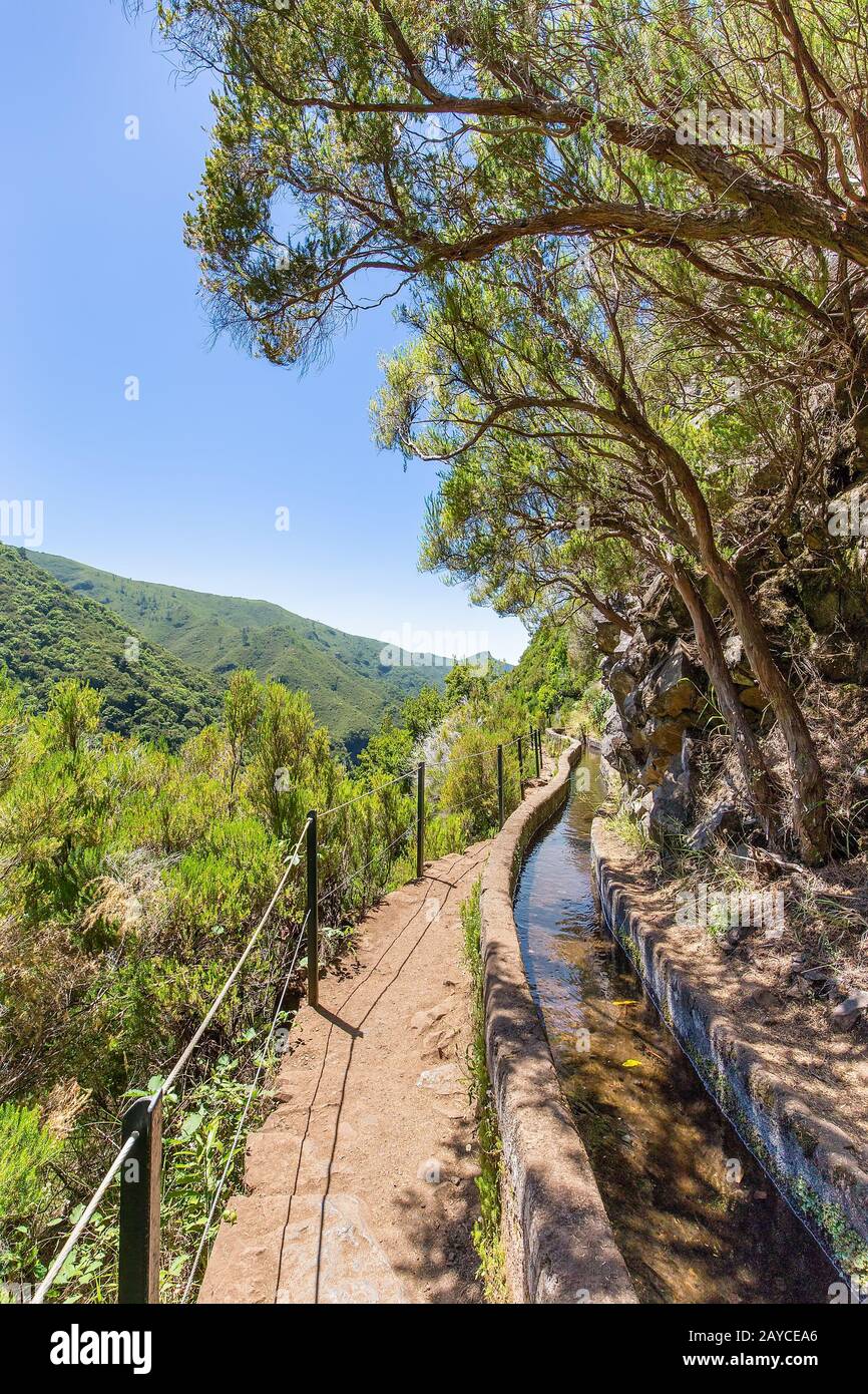 Portugiesische Landschaft mit Levada und Bäumen Stockfoto