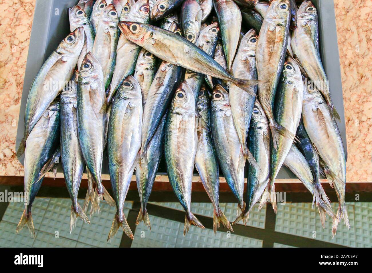 Viele ganze Sardellen liegen nebeneinander in Kiste Stockfoto