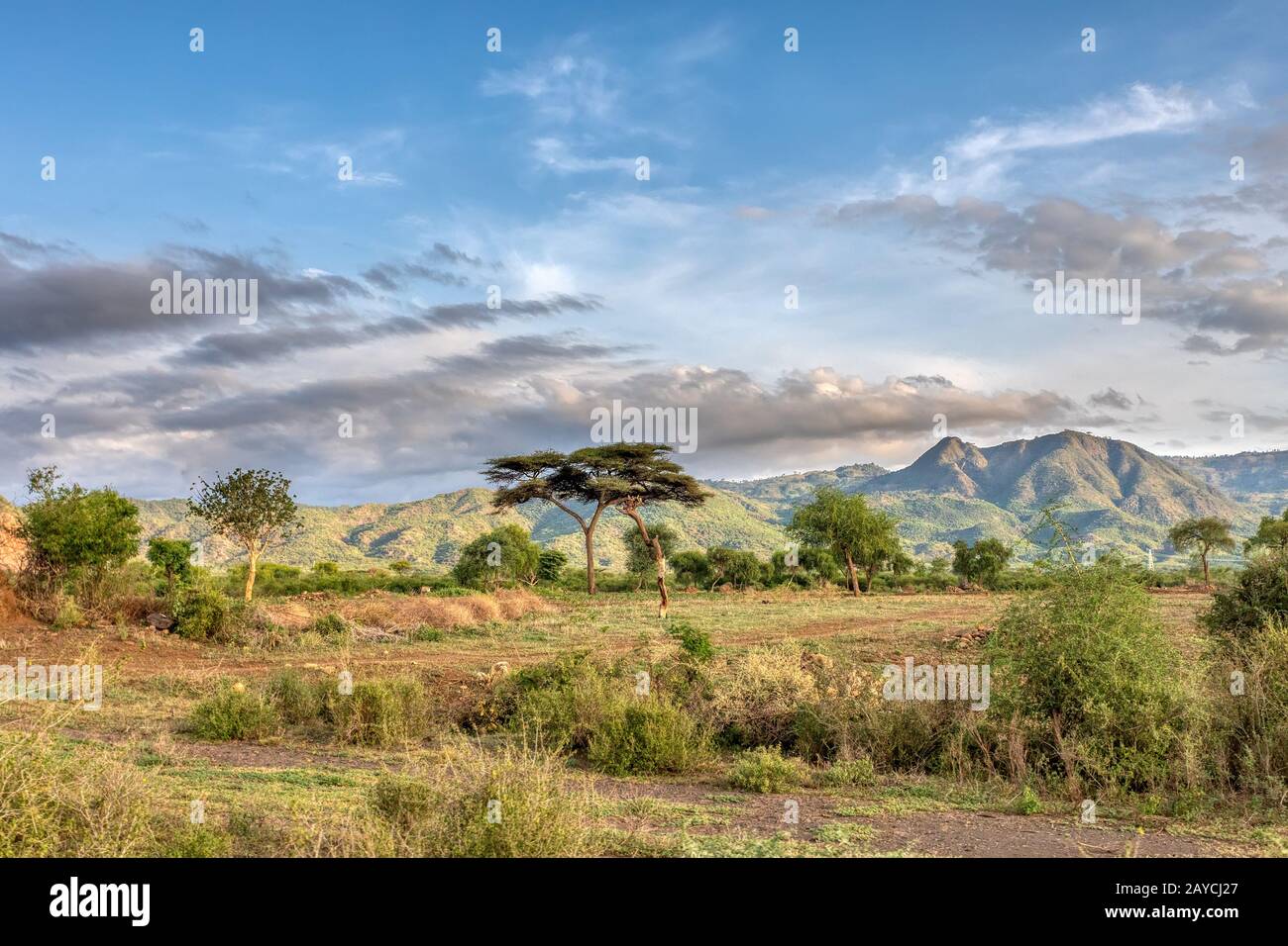 äthiopische Landschaft in der Nähe von Arba Minch, Äthiopien Stockfoto