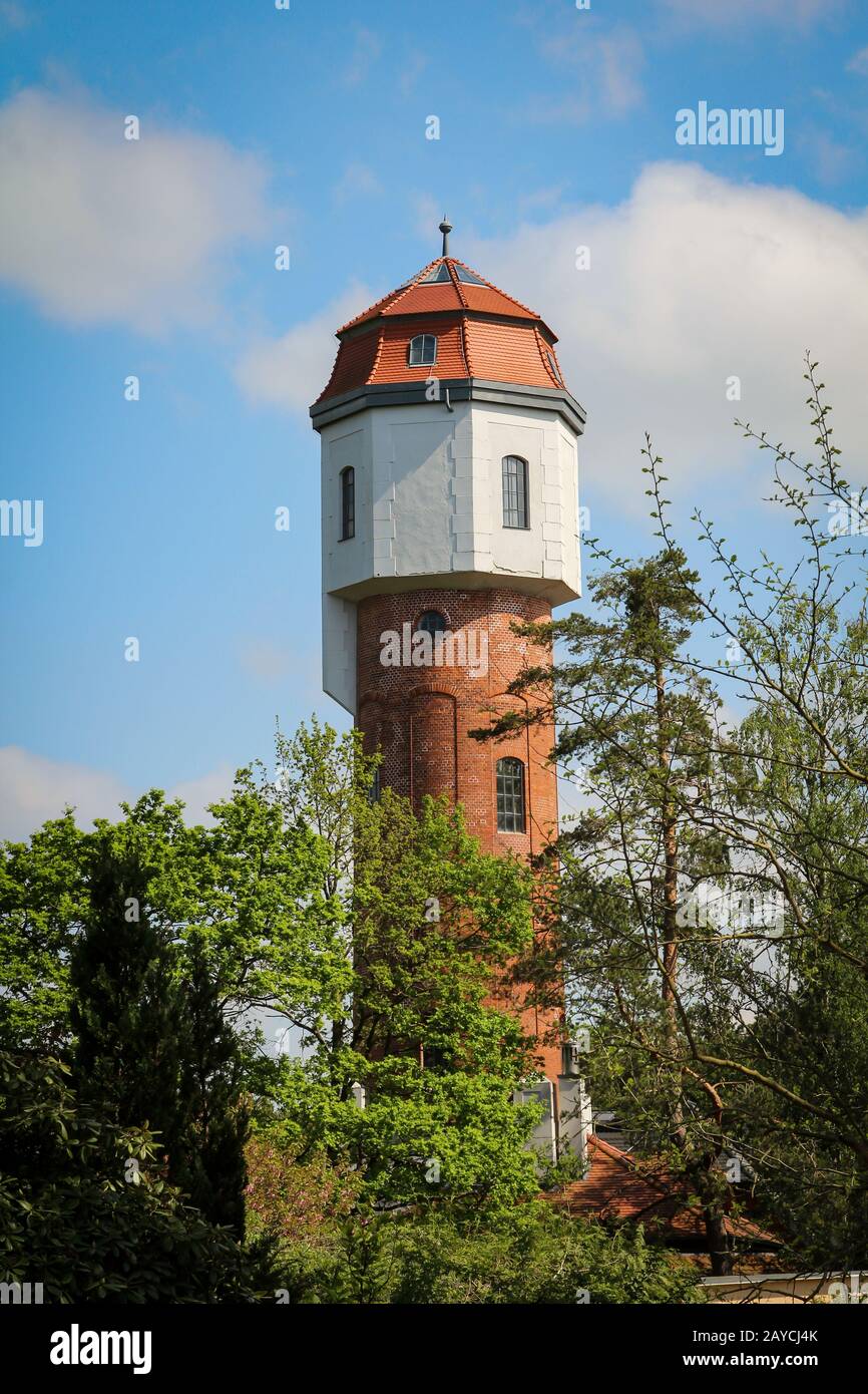 Zwischen Bäumen ragt ein Wasserturm, der Graal Müritz überragt Stockfoto