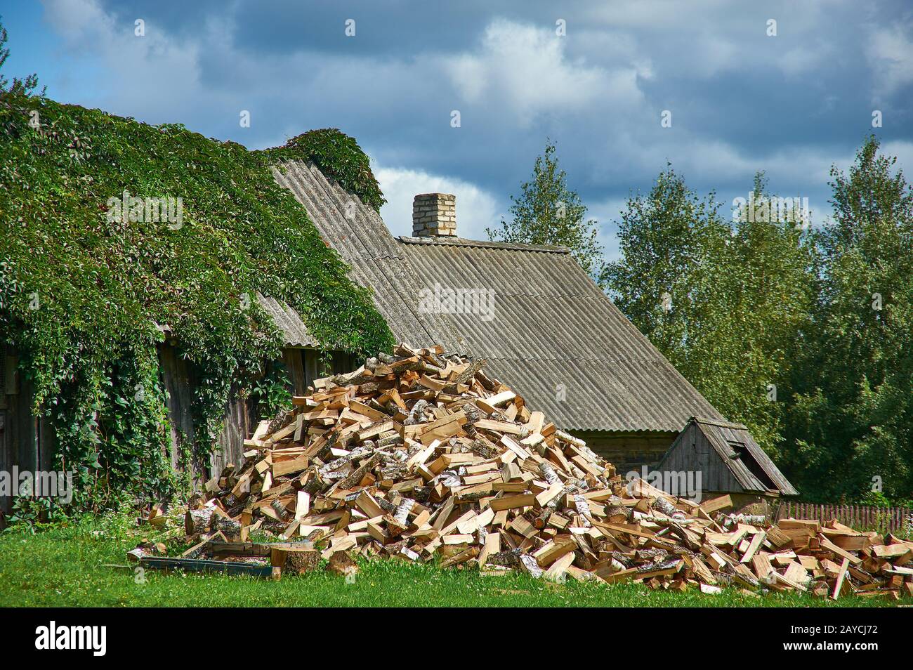 Weißrussisches Landdorf Stockfoto