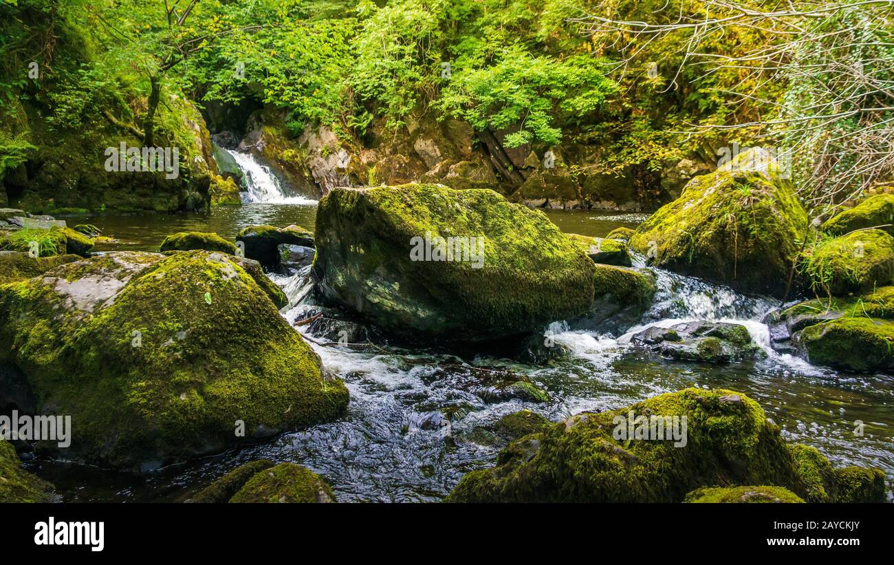 Bach oder Bach, der zwischen mosigen Felsen, Wasser, Herbst, Irland fließt Stockfoto