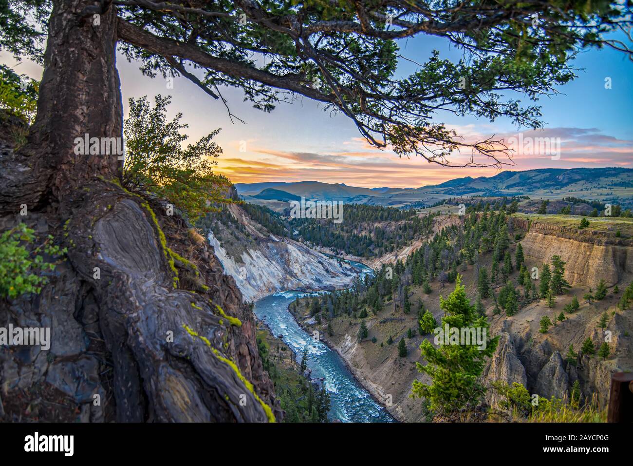 Calcit-Canyon im Yellostone-Nationalpark bei Sonnenuntergang Stockfoto