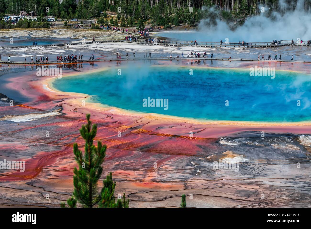 Weltberühmter großer prismatischer Frühling im Yellowstone-Nationalpark Stockfoto