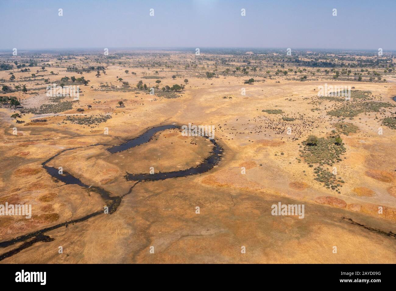 Okavango Delta Aerial mit trockener, gelber Ebene mit dunkelblauem Fluss in Moremi Game Reserve, Botswana, Afrika Stockfoto