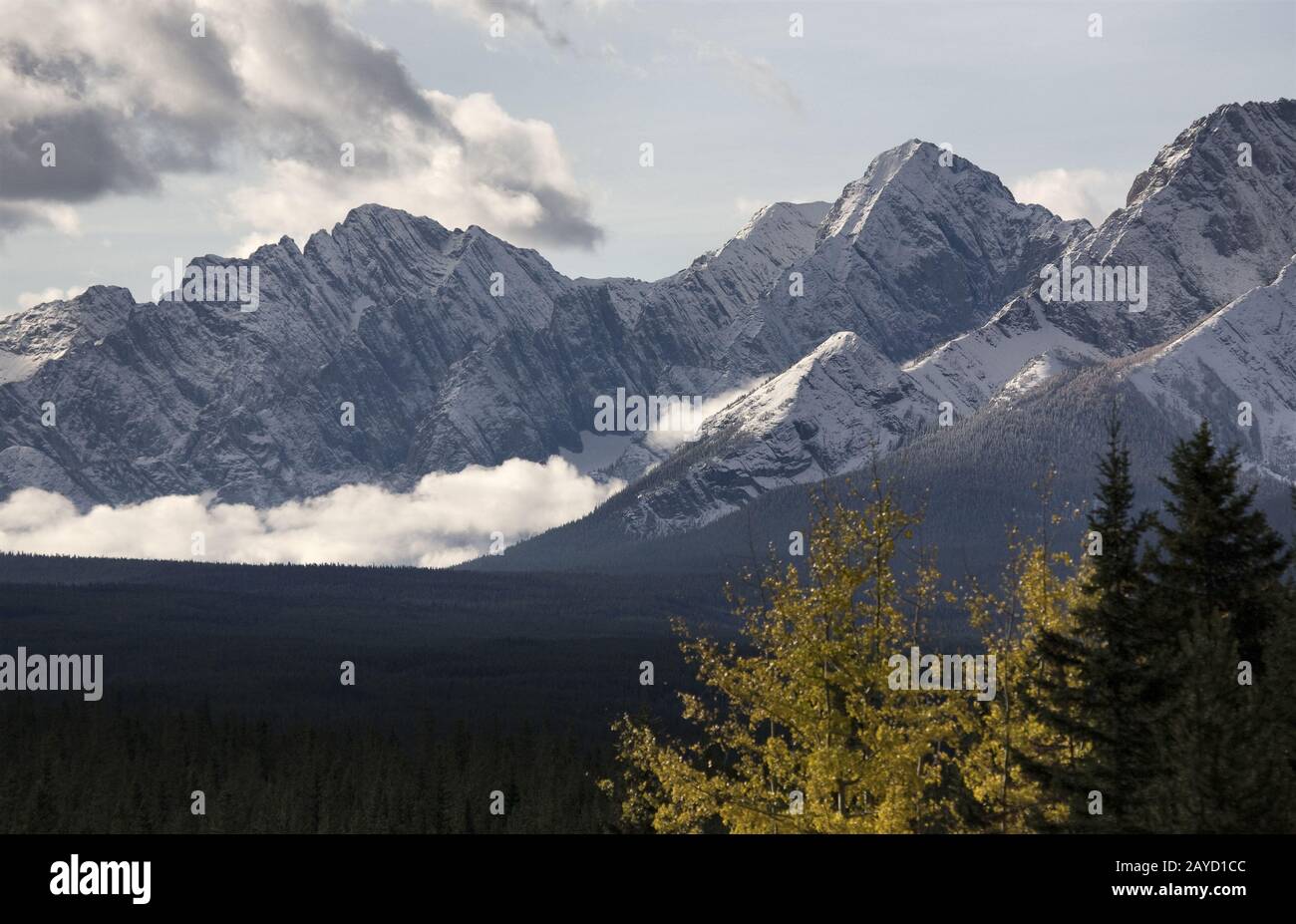 Herbst in den Rocky Mountains Stockfoto