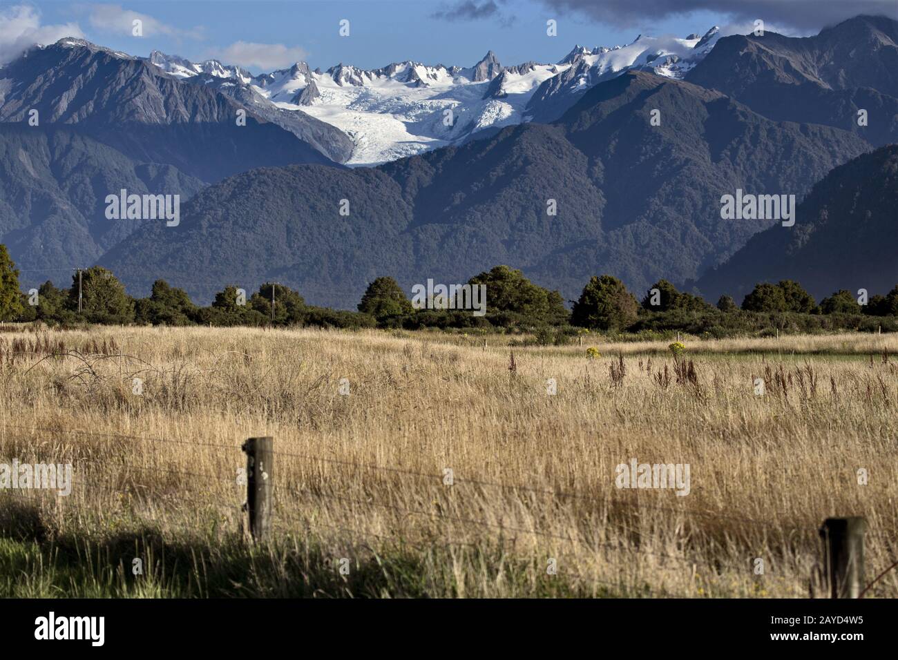 Fox Glacier Neuseeland Rural Stockfoto