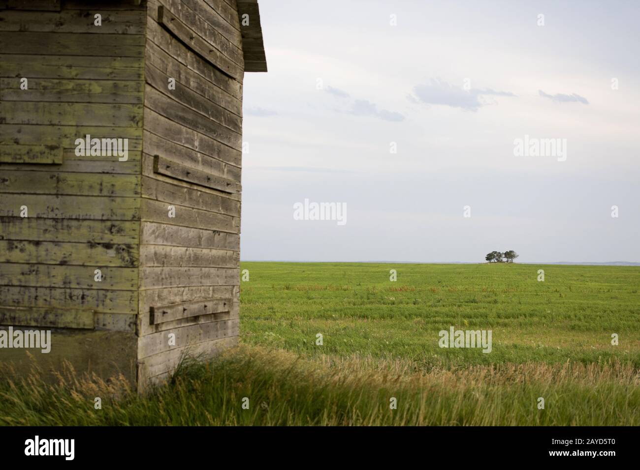 Prairie Barn Saskatchewan Stockfoto