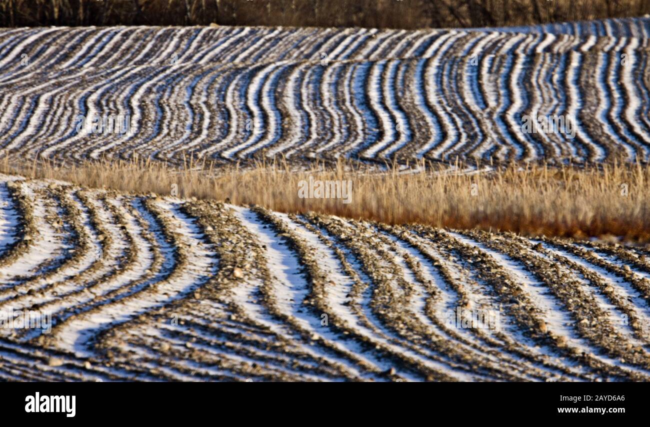 Feild im Winter gepflügt Stockfoto