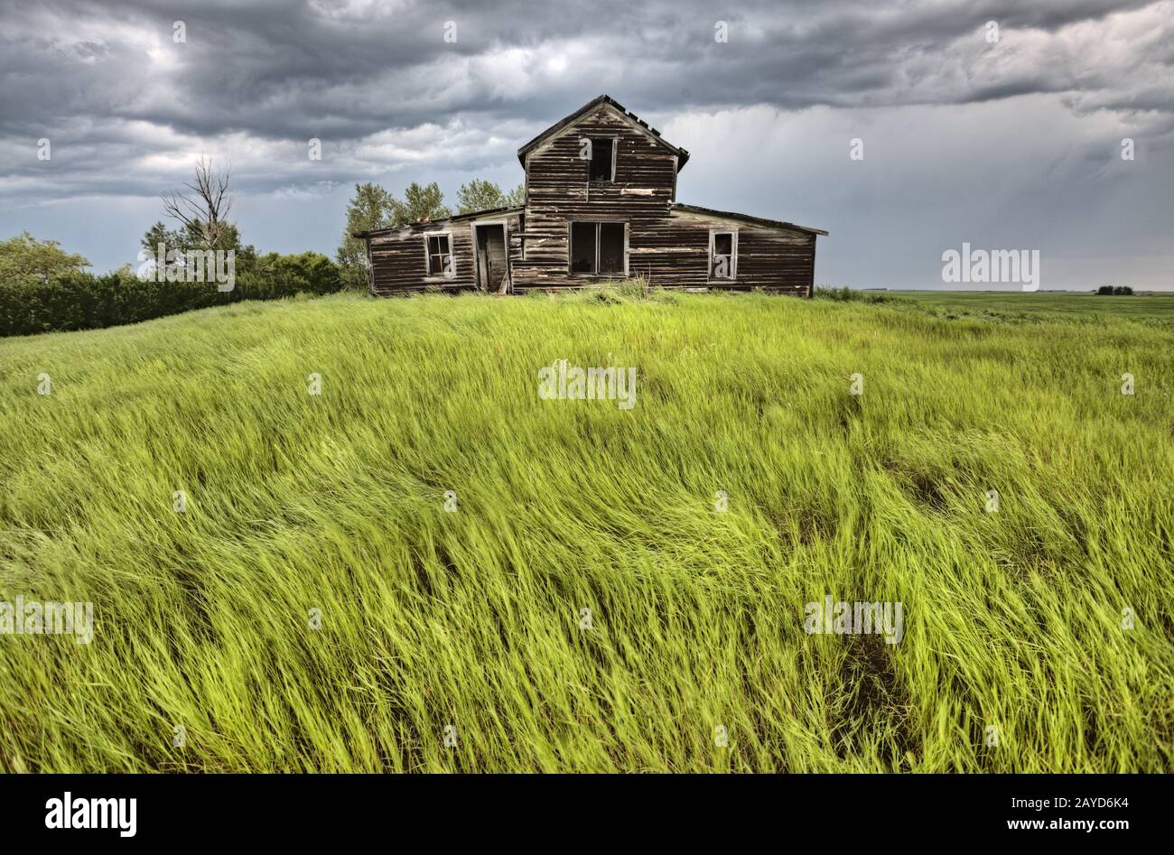 Verlassene Prairie House Stockfoto