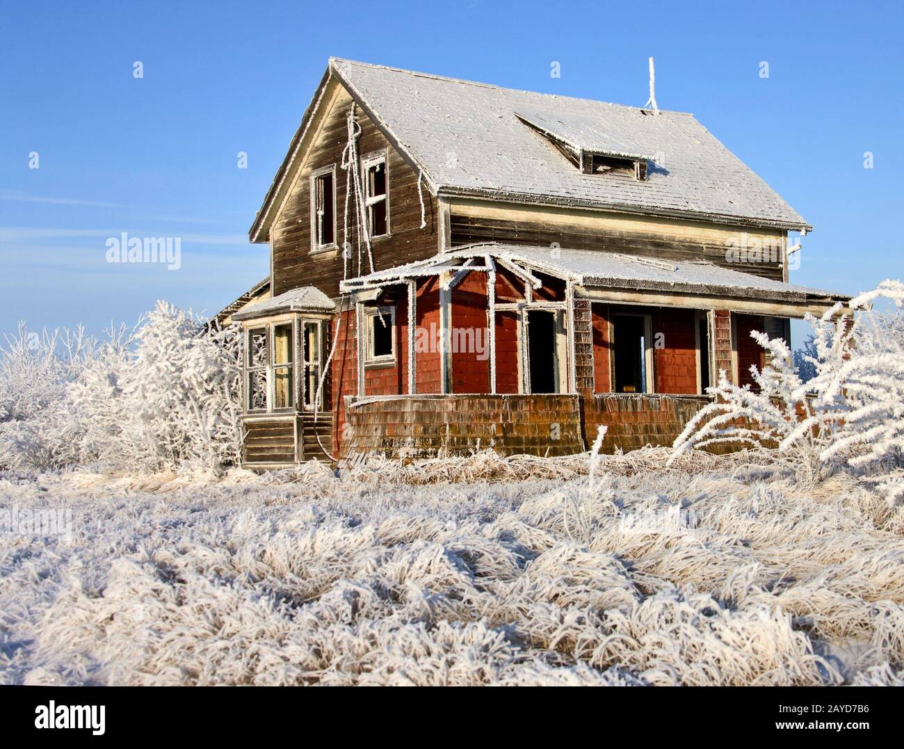 Winter Frost Saskatchewan Stockfoto