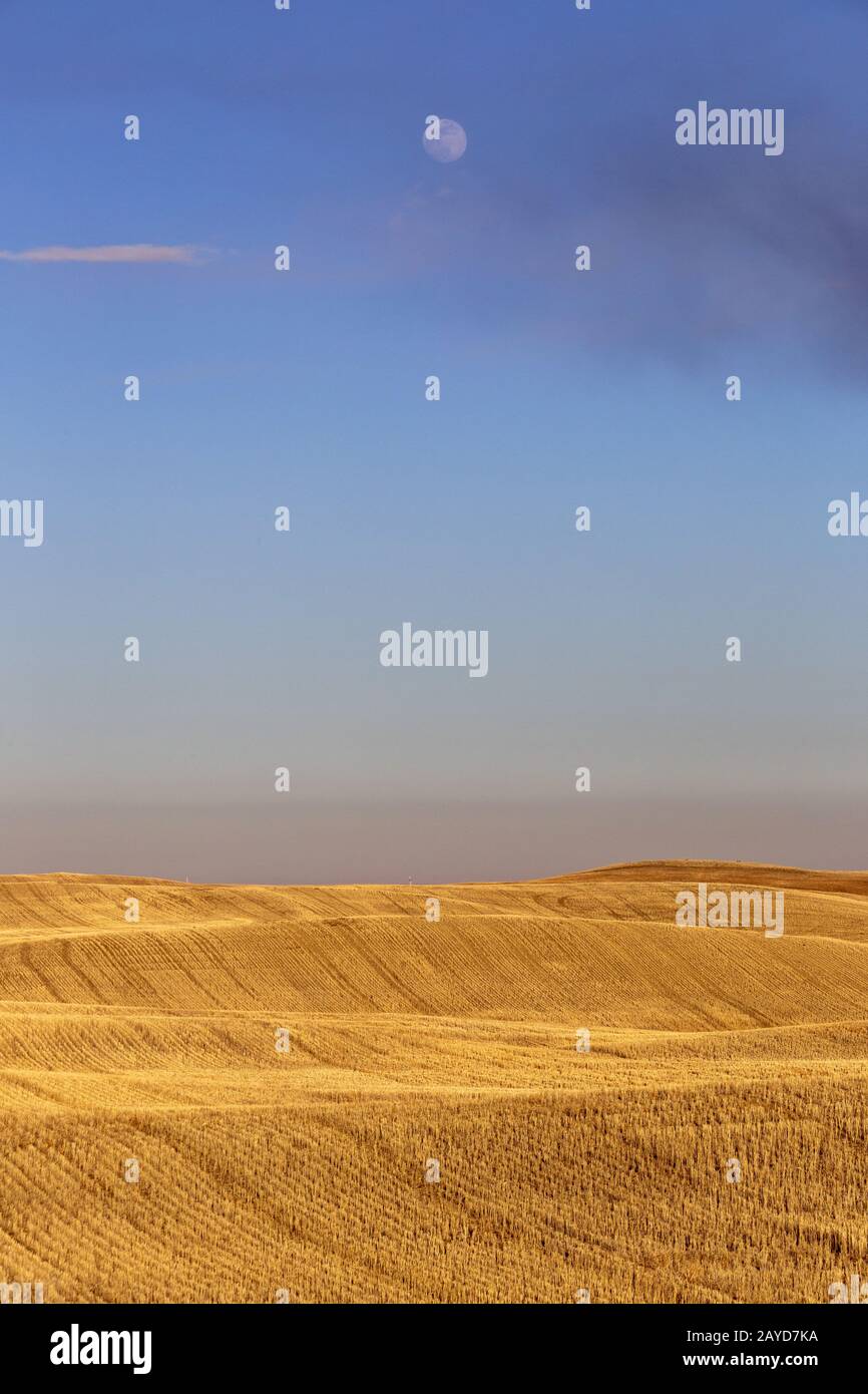 Prairie Rural Agriculture Stockfoto