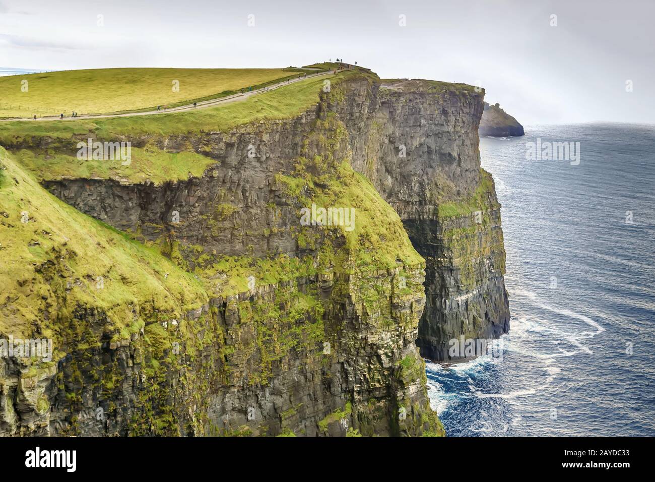 Cliffs of Moher, Irland Stockfoto