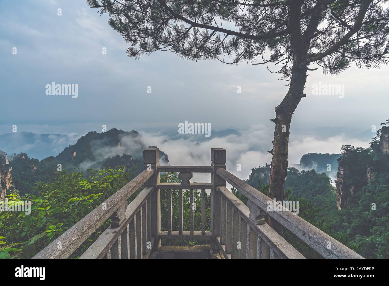 Malerischer Blick über die Tizi-Berge in Zhangjiajie Stockfoto