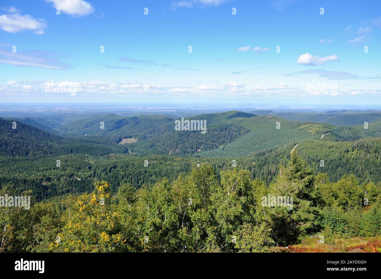 Land der beiden Sarres Vosges Frankreich Stockfoto