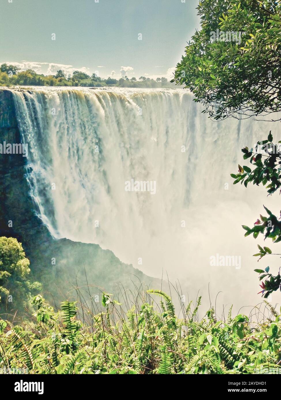 Szene des Victoria-Wassers fällt Stockfoto