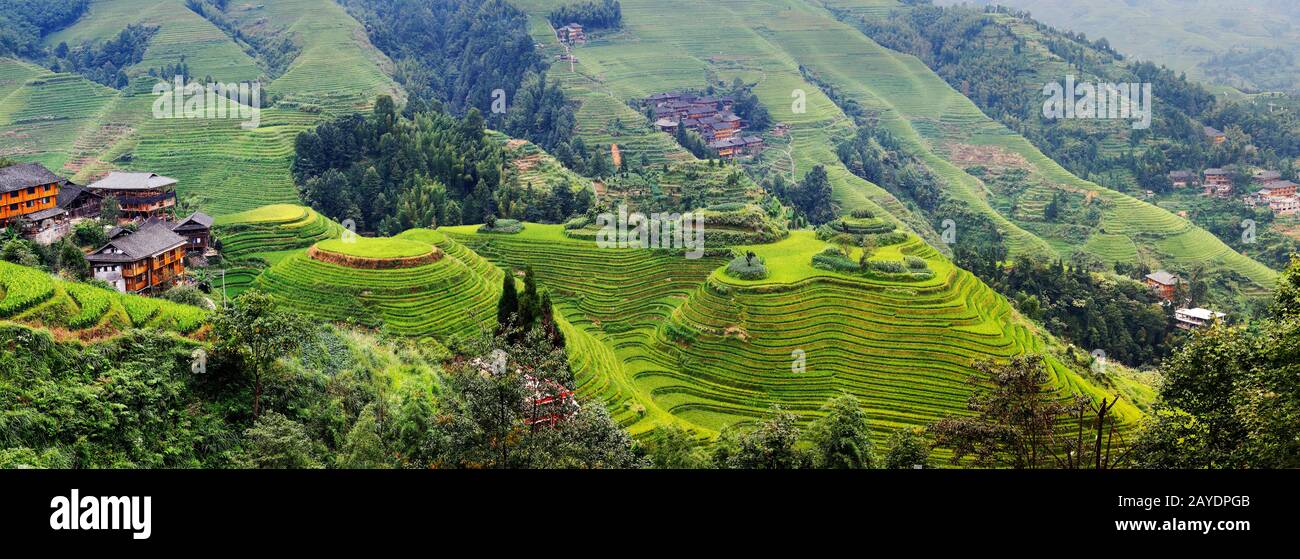 Reis-Terrasse in der Landschaft von Dazhai, Provinz Shanxi, China Stockfoto