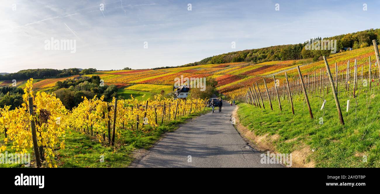Indischer Sommer auf dem Rotweinpfad im Ahr-Tal Stockfoto