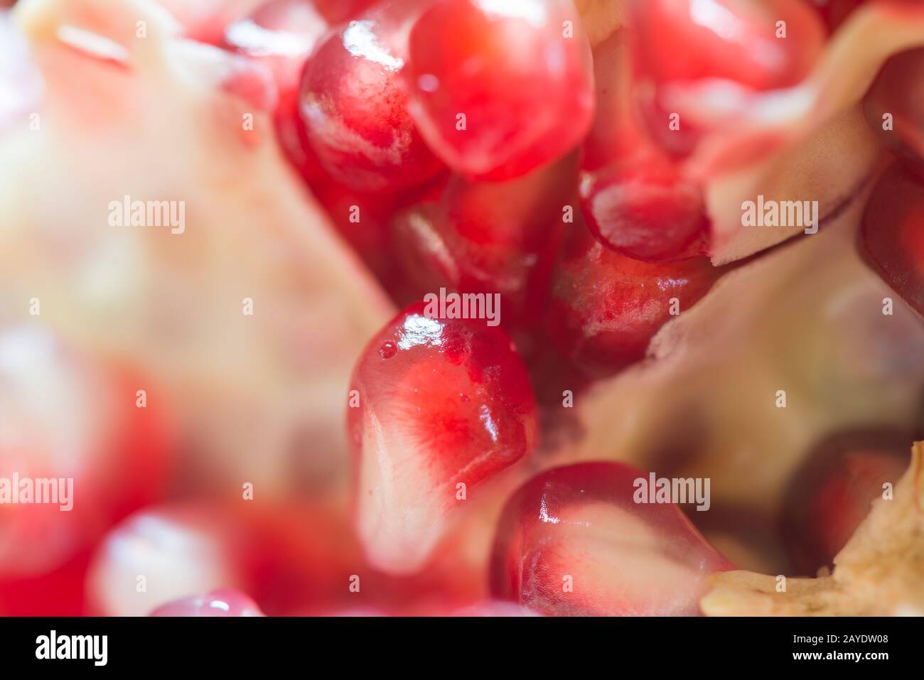 Makroaufnahmen von frischen saftigen Granatapfelkörnern Stockfoto