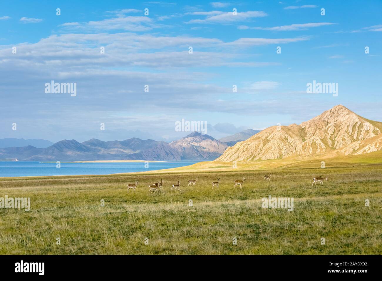 Schöne Landschaft mit drei Flussquellen im Naturreservat Stockfoto