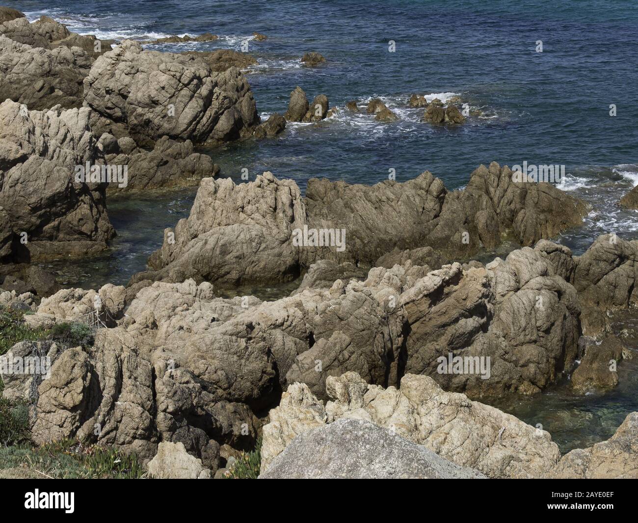 Insel Korsika Stockfoto