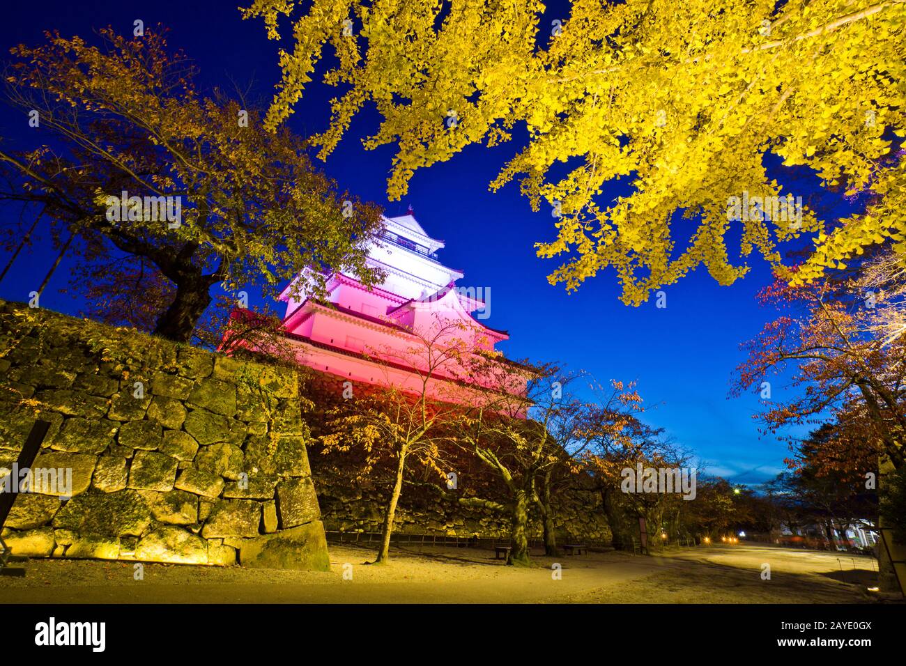 Burg Tsuruga mit Licht in der Stadt Aizu wakamatsu, Fukushima, Tohoku, Japan. Stockfoto