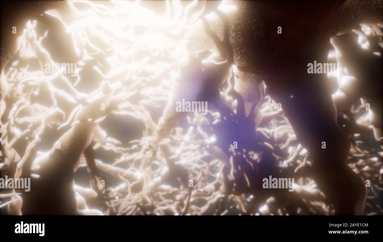 Reise durch ein Neuron Cell Network im Gehirn Stockfoto