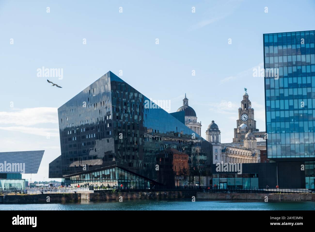 Moderne und klassische Architektur an den Liverpool Docks, Hafen von Liverpool, wie eine Möwe vorbeifliegt Stockfoto
