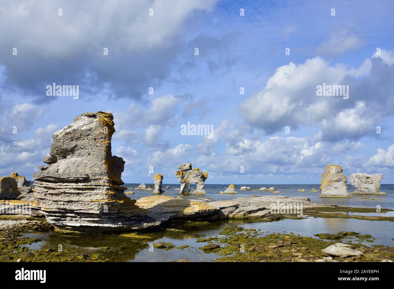 Gamle Hamn auf Gotland Stockfoto