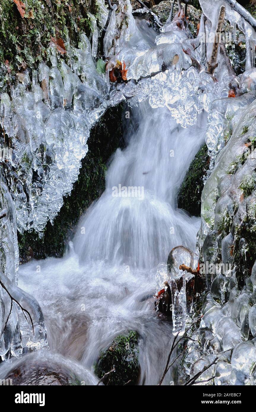 In eisgekühltem Wasser Stockfoto